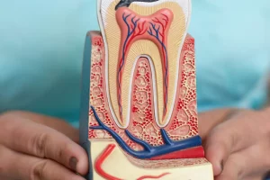 Mi-Dent Gabinet Stomatologiczny 95-100 Zgierz ul.Kolejowa 6 lokal 1A